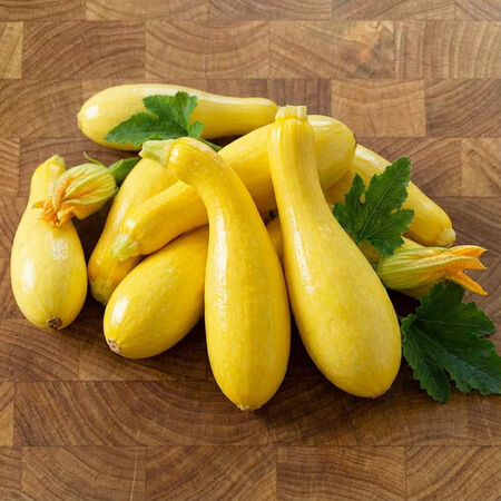 Supersonic, (F1) Squash Seed - Packet image number null